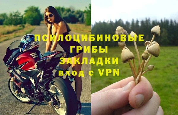 трава Алексин